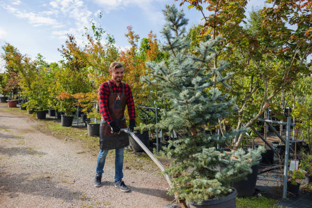 Best Weed Control Services  in Archer City, TX